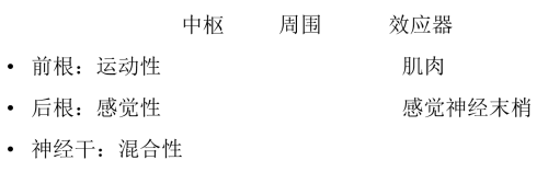 什么是正中神經(jīng)損傷？