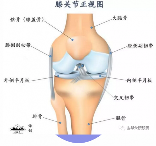 爬山、練太極會導(dǎo)致膝關(guān)節(jié)疼痛嗎？